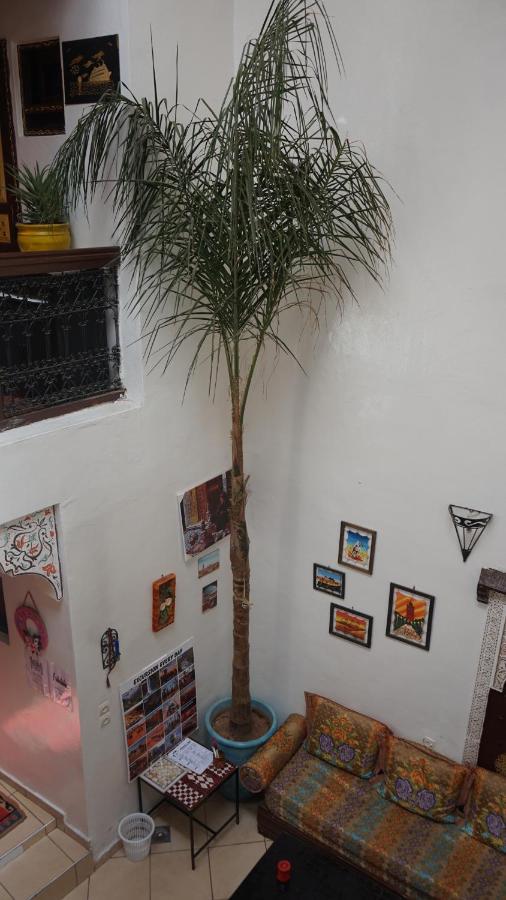 Hostel Kech Vibe *